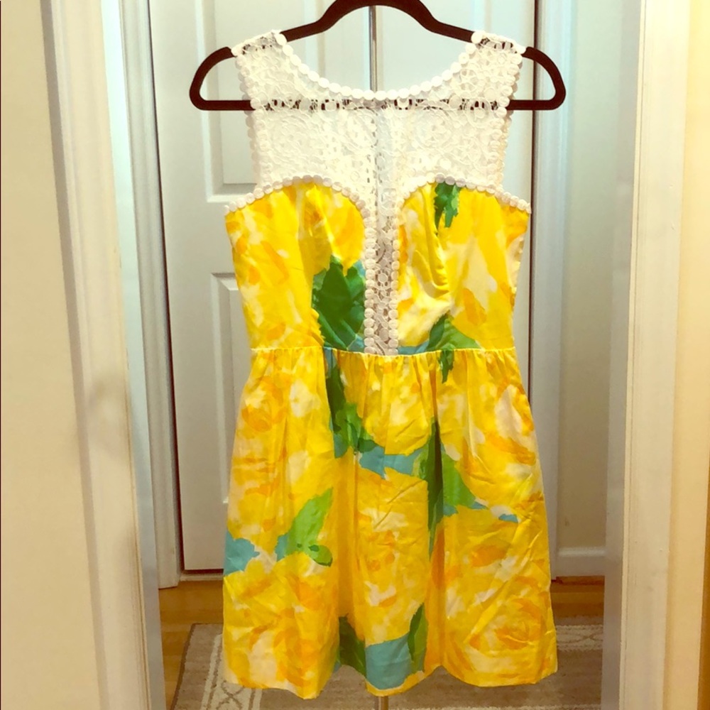 Never-been-worn Lilly Pulitzer Raegan Dress
